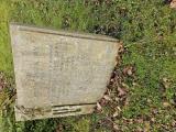 image of grave number 973744